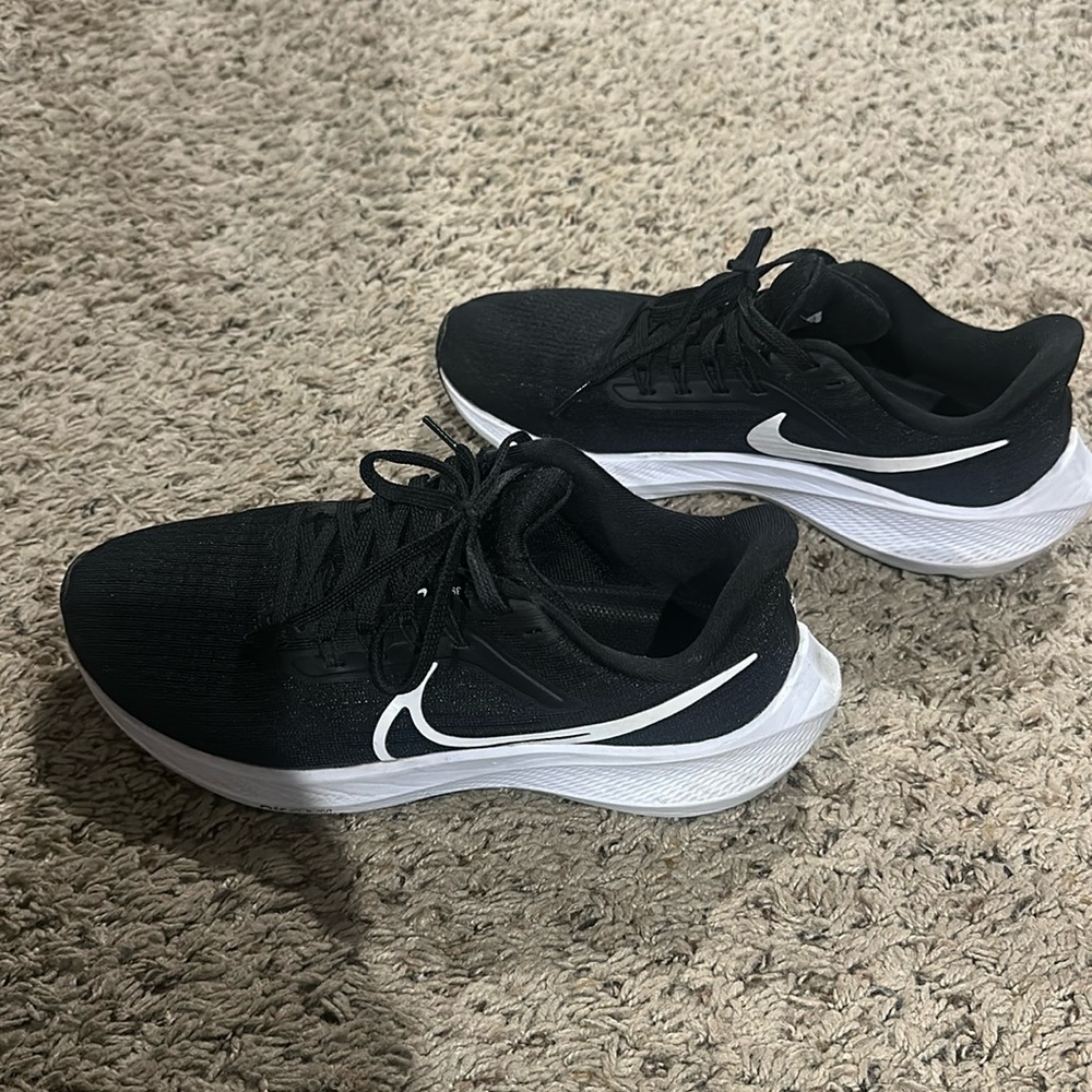 Nike zoom Pegasus